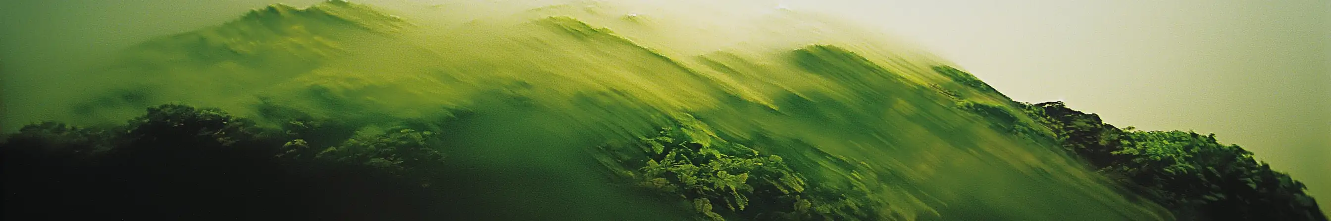 Wir sind für Dich da!