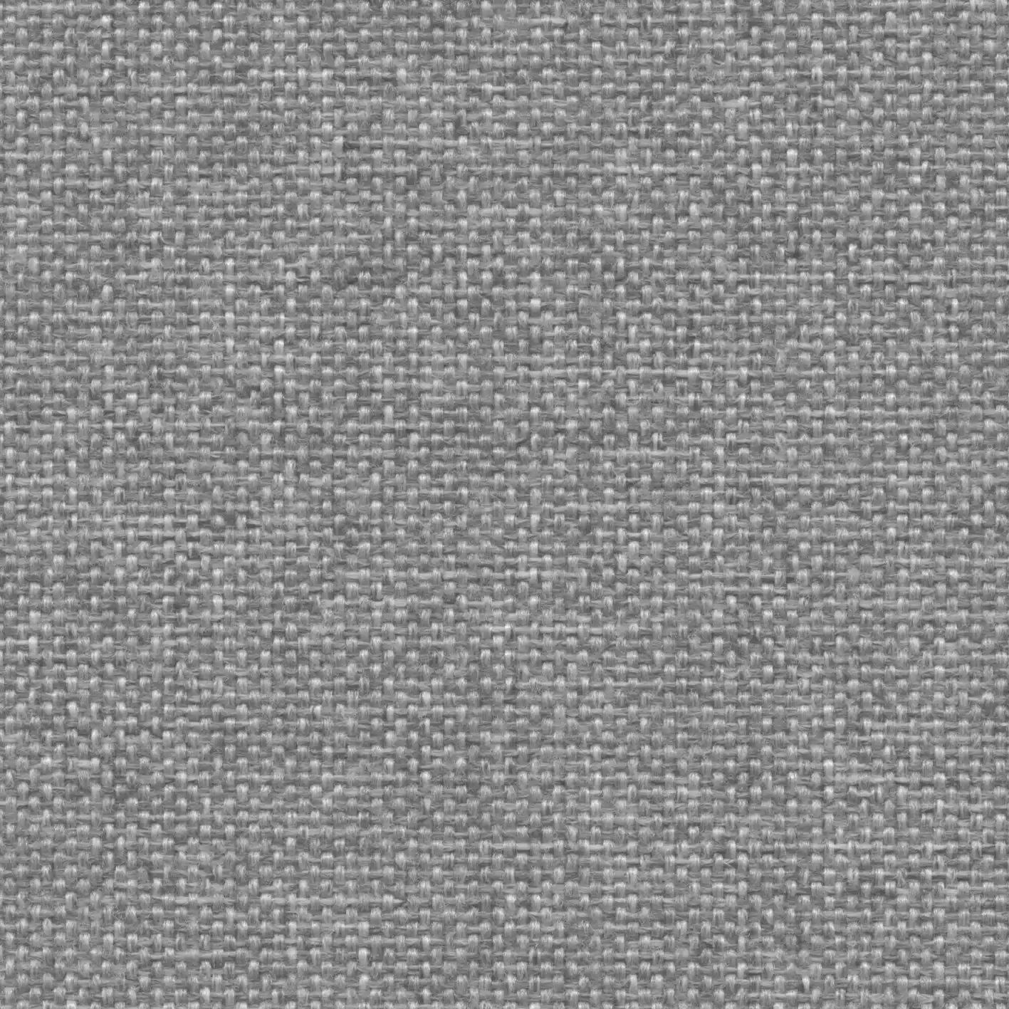 Siebenschläfer Siebenschläfer