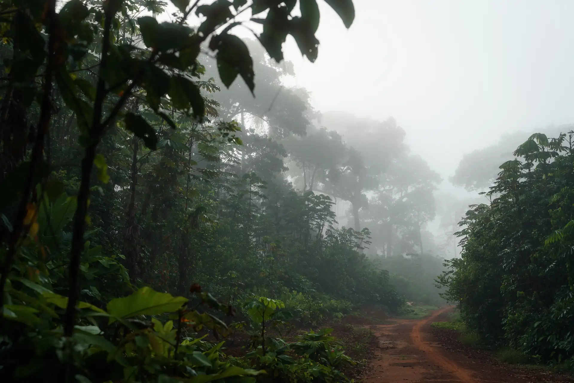 Topper für Unimog & Expeditionsfahrzeuge
